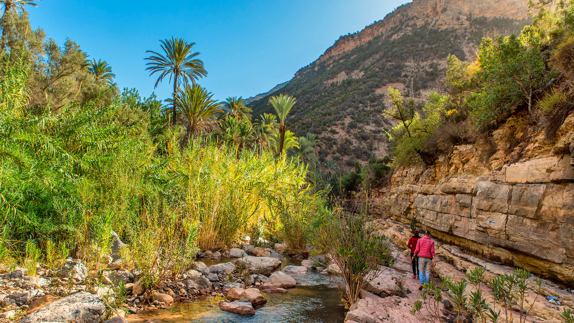 8 Days Tour From Agadir To Grand South Morocco & Coastal Wonders And Atlas