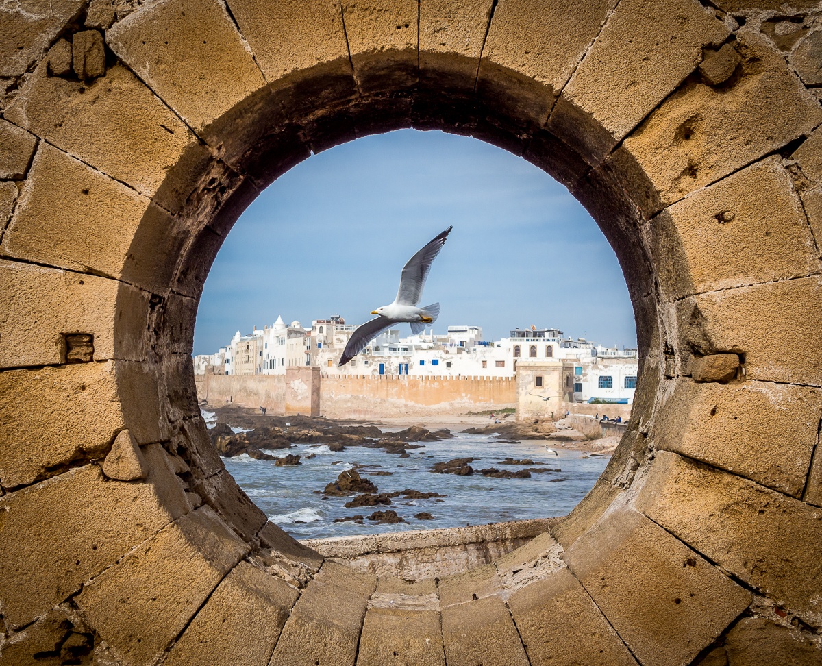 Day Trips & Excursions Starting From Marrakech