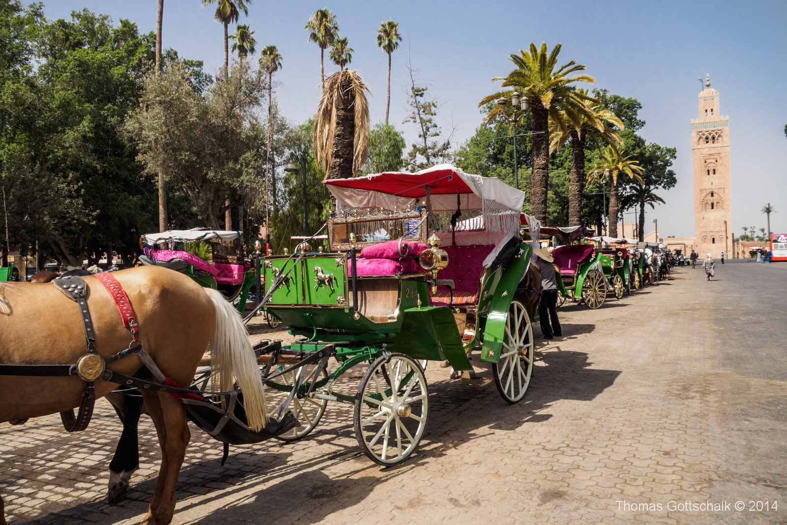 Night or Day Tour in a Horse Drawn Carriage In Marrakech